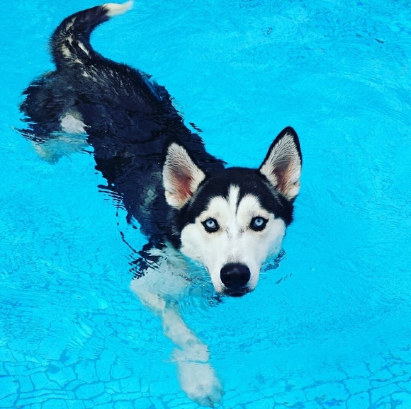 Meet your Posher, Angie - Picture 3 of 8